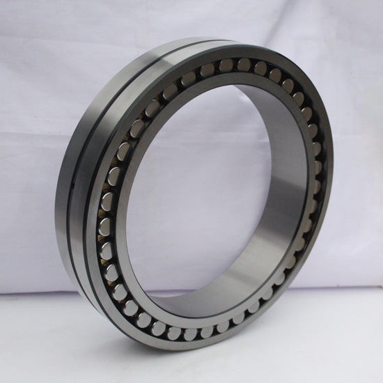 SL045008 CYLINDRICAL ROLLER BEARING